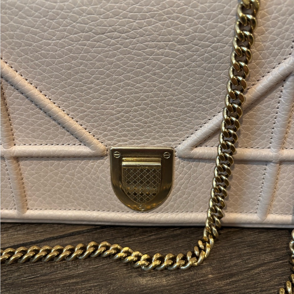 Christian Dior Beige Blush Diorama Wallet on Chain Crossbody Shoulder Bag - Picture 2 of 14
